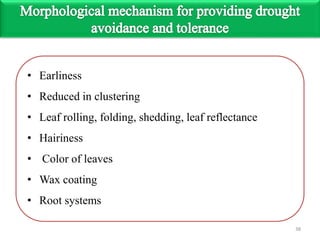 • Earliness
• Reduced in clustering
• Leaf rolling, folding, shedding, leaf reflectance
• Hairiness
• Color of leaves
• Wax coating
• Root systems
38
 