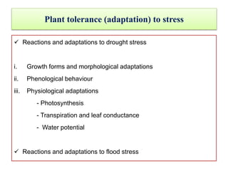 Plant tolerance (adaptation) to stress
 Reactions and adaptations to drought stress
i. Growth forms and morphological adaptations
ii. Phenological behaviour
iii. Physiological adaptations
- Photosynthesis
- Transpiration and leaf conductance
- Water potential
 Reactions and adaptations to flood stress
 