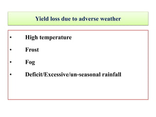 Yield loss due to adverse weather
• High temperature
• Frost
• Fog
• Deficit/Excessive/un‐seasonal rainfall
 