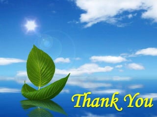 Crop modeling and stress