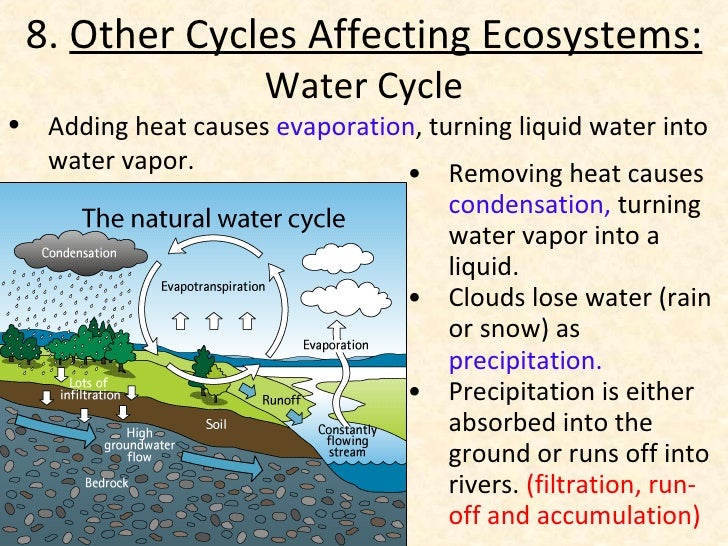 Who Discovered The Water Cycle 54