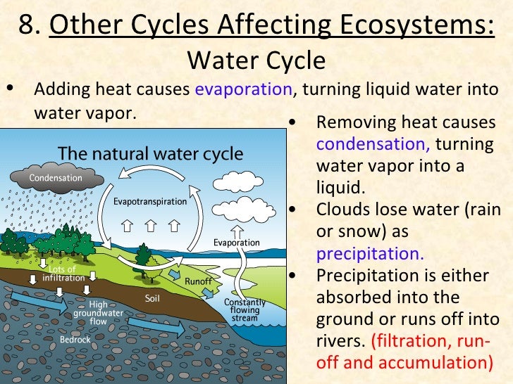 What Effect Do Abiotic Cycles Have On Ecosystems? Biotic abiotic-cycles