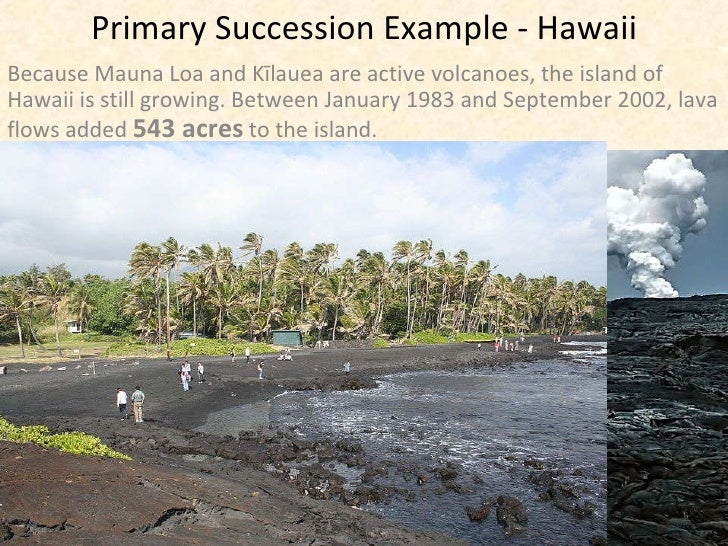 Biotic abiotic-cycles