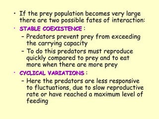 If the prey population becomes very large there are two possible fates of interaction: STABLE COEXISTENCE  :  Predators prevent prey from exceeding the carrying capacity To do this predators must reproduce quickly compared to prey and to eat more when there are more prey   CYCLICAL VARIATIONS  :  Here the predators are less responsive to fluctuations, due to slow reproductive rate or have reached a maximum level of feeding 