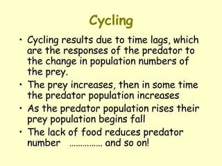Cycling Cycling results due to time lags, which are the responses of the predator to the change in population numbers of the prey.  The prey increases, then in some time the predator population increases As the predator population rises their prey population begins fall  The lack of food reduces predator number  …………… and so on! 