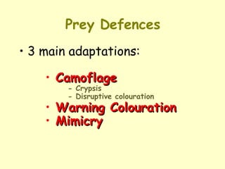 Prey Defences 3 main adaptations: Camoflage - Crypsis - Disruptive colouration Warning Colouration Mimicry 