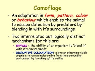 Camoflage An adaptation in  form ,  pattern ,  colour  or  behaviour  which enables the animal to escape detection by predators by blending in with it’s surroundings Two interrelated but logically distinct mechanisms for this are: CRYPSIS  :  the ability of an organism to ‘blend in’ with it’s environment   DISRUPTIVE COLOURATION :  allows an otherwise visible organism to remain indiscernible from the surrounding environment by ‘breaking up’ it’s outline 