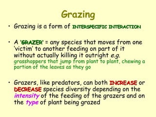 Grazing Grazing is a form of  INTERSPECIFIC INTERACTION A  ‘GRAZER’  = any species that moves from one ‘victim’ to another feeding on part of it without actually killing it outright  e.g.   grasshoppers that jump from plant to plant, chewing a portion of the leaves as they go Grazers, like predators, can both  INCREASE  or  DECREASE  species diversity depending on the  intensity  of the feeding of the grazers and on the  type  of plant being grazed 
