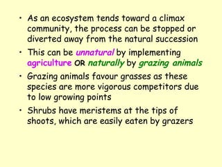 As an ecosystem tends toward a climax community, the process can be stopped or diverted away from the natural succession  This can be  unnatural  by implementing  agriculture   OR   naturally  by  grazing animals   Grazing animals favour grasses as these species are more vigorous competitors due to low growing points Shrubs have meristems at the tips of shoots, which are easily eaten by grazers 