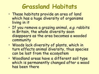 Grassland Habitats These habitats provide an area of land which has a huge diversity of organisms living in it  If you remove a grazing animal,  e.g.  rabbits in Britain, the whole diversity soon disappears as the area becomes a wooded community  Woods lack diversity of plants, which in turn effects animal diversity, thus species can be lost from the ecosystem  Woodland areas have a different soil type which is permanently changed after a wood has been there 