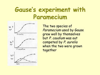 Gause’s experiment with Paramecium The two species of  Paramecium  used by Gause grew well by themselves but  P. caudium  was out competed by  P. aurelia  when the two were grown together 