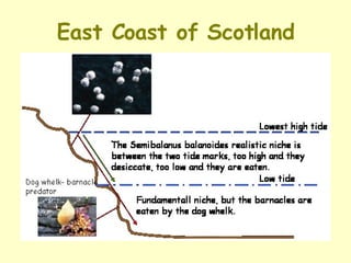 East Coast of Scotland 
