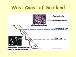 West Coast of Scotland 