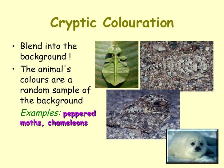 Biotic Interactions