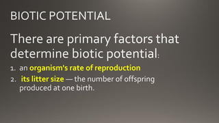 organism's rate of reproduction
its litter size
 