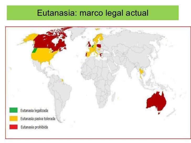 Resultado de imagen para estadisticas de eutanasia en el mundo