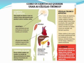 Bioética