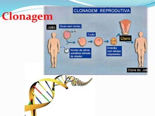 Clonagem
 