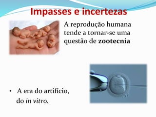 Impasses e incertezas
• A reprodução humana
tende a tornar-se uma
questão de zootecnia
• A era do artifício,
do in vitro.
 