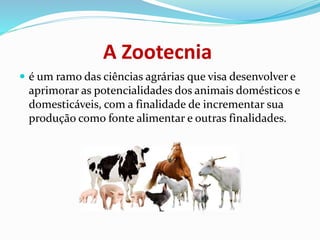 A Zootecnia
 é um ramo das ciências agrárias que visa desenvolver e
aprimorar as potencialidades dos animais domésticos e
domesticáveis, com a finalidade de incrementar sua
produção como fonte alimentar e outras finalidades.
 