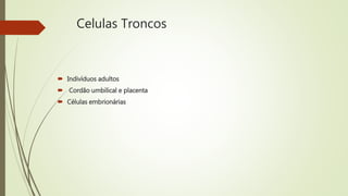 Celulas Troncos
 Indivíduos adultos
 Cordão umbilical e placenta
 Células embrionárias
 