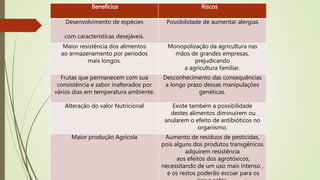 Benefícios Riscos
Desenvolvimento de espécies
com características desejáveis.
Possibilidade de aumentar alergias
Maior resistência dos alimentos
ao armazenamento por períodos
mais longos.
Monopolização da agricultura nas
mãos de grandes empresas,
prejudicando
a agricultura familiar.
Frutas que permanecem com sua
consistência e sabor inalterados por
vários dias em temperatura ambiente.
Desconhecimento das consequências
a longo prazo dessas manipulações
genéticas.
Alteração do valor Nutricional Existe também a possibilidade
destes alimentos diminuírem ou
anularem o efeito de antibióticos no
organismo.
Maior produção Agrícola Aumento de resíduos de pesticidas,
pois alguns dos produtos transgênicos
adquirem resistência
aos efeitos dos agrotóxicos,
necessitando de um uso mais intenso ,
e os restos poderão escoar para os
 