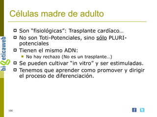 Células madre de adulto Son “fisiológicas”: Trasplante cardíaco…  No son Toti-Potenciales, sino  sólo  PLURI-potenciales Tienen el mismo ADN: No hay rechazo (No es un trasplante…) Se pueden cultivar “in vitro” y ser estimuladas.  Tenemos que aprender como promover y dirigir el proceso de diferenciación. 