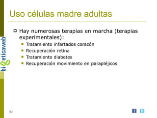 Uso células madre adultas Hay numerosas terapias en marcha (terapias experimentales): Tratamiento infartados corazón Recuperación retina Tratamiento diabetes Recuperación movimiento en parapléjicos 