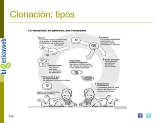 Clonación: tipos 