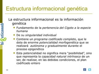 Estructura informacional genética La estructura informacional es la información genética Fundamento de la  pertenencia del Cigoto a la especie humana De su  singularidad individual Contiene un  programa codificado completo , que le dota de enorme  potencialidad morfogenética  que se realizará  autónoma y gradualmente  durante el proceso epigenético Esta potencialidad no significa mera “posibilidad”, sino que representa la  capacidad natural intrínseca  de un ser, de realizar, en las debidas condiciones, el plan codificado entero 
