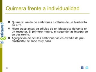 Quimera frente a individualidad Quimera: unión de embriones o células de un blastocito en otro. Micro trasplantes de células de un blastocito donante en un receptor. El primero muere, el segundo las integra en su desarrollo. Agregación de células embrionarias en estadio de pre-blastocito: se sabe muy poco 
