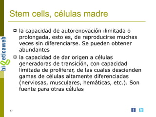 Stem cells, células madre la capacidad de autorenovación ilimitada o prolongada, esto es, de reproducirse muchas veces sin diferenciarse. Se pueden obtener abundantes la capacidad de dar origen a células generadoras de transición, con capacidad limitada de proliferar, de las cuales descienden gamas de células altamente diferenciadas (nerviosas, musculares, hemáticas, etc.). Son fuente para otras células 