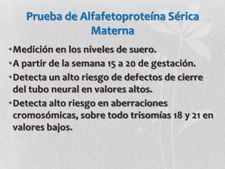Prueba de Alfafetoproteína Sérica
Materna
•Medición en los niveles de suero.
•A partir de la semana 15 a 20 de gestación.
•Detecta un alto riesgo de defectos de cierre
del tubo neural en valores altos.
•Detecta alto riesgo en aberraciones
cromosómicas, sobre todo trisomías 18 y 21 en
valores bajos.
 