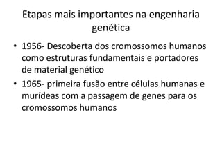 Etapas mais importantes na engenharia
genética
• 1956- Descoberta dos cromossomos humanos
como estruturas fundamentais e portadores
de material genético
• 1965- primeira fusão entre células humanas e
murídeas com a passagem de genes para os
cromossomos humanos

 