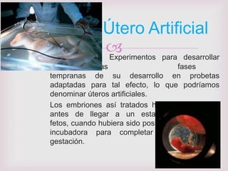 Útero Artificial
               Experimentos para desarrollar
embriones en las                     fases
tempranas de su desarrollo en probetas
adaptadas para tal efecto, lo que podríamos
denominar úteros artificiales.
Los embriones así tratados han muerto mucho
antes de llegar a un estadio temprano de
fetos, cuando hubiera sido posible pasarlos a una
incubadora para completar el proceso de
gestación.
 