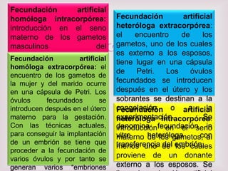 Fecundación          artificial
homóloga intracorpórea:            Fecundación        artificial
introducción en el seno            heteróloga extracorpórea:
materno de los gametos             el    encuentro    de     los
masculinos
marido,
Fecundación      previamente
                            del
                      artificial
                                   gametos, uno de los cuales
                                   es externo a los esposos,
recogidos. extracorpórea: el
                Se       llama     tiene lugar en una cápsula
homóloga
inseminación los gametos de
                      artificial   de    Petri.   Los    óvulos
encuentro de
homóloga
la mujer y. del marido ocurre      fecundados se introducen
en una cápsula de Petri. Los       después en el útero y los
óvulos     fecundados       se     sobrantes se destinan a la
introducen después en el útero     congelación
                                   Fecundación o artificial
                                                        a     la
materno para la gestación.         experimentación.
                                   heteróloga intracorpórea: Se
Con las técnicas actuales,         denomina fecundación in
                                   introducción en el seno
para conseguir la implantación     vitro
                                   materno heteróloga       con
                                            de los gametos, al
de un embrión se tiene que         transferencia de embrión.
                                   menos uno del los cuales
proceder a la fecundación de
varios óvulos y por tanto se
                                   proviene de un donante
generan varios “embriones          externo a los esposos. Se
 