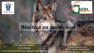Bioética en zoológicos
Universidad de Guadalajara
Lic. En Biología
Centro Universitario de Ciencias Biológicas y Agropecuarias
Martínez Monreal Carlos
Murillo Gonzales Diego Gabriel
 