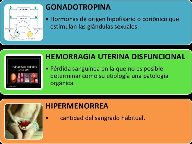Como adelgazar durante la sesión