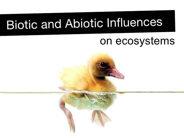 biotic and abiotic influences on the biotic and abiotic influences on the