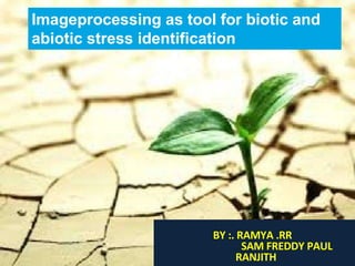BY :. RAMYA .RR
SAM FREDDY PAUL
RANJITH
Imageprocessing as tool for biotic and
abiotic stress identification
 