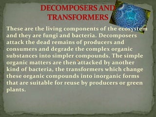 These are the living components of the ecosystem 
and they are fungi and bacteria. Decomposers 
attack the dead remains of producers and 
consumers and degrade the complex organic 
substances into simpler compounds. The simple 
organic matters are then attacked by another 
kind of bacteria, the transformers which change 
these organic compounds into inorganic forms 
that are suitable for reuse by producers or green 
plants. 
 