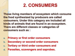 2. CONSUMERS 
Those living members of ecosystem which consume 
the food synthesized by producers are called 
consumers. Under this category are included all 
kinds of animals that are found in an ecosystem. 
There are different classes or categories of 
consumers such as : 
a. Primary or first order consumers 
b. Secondary or second order consumers 
c. Tertiary or third order consumers and 
d. Parasites, scavengers and saprobes. 
 
