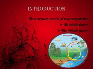 INTRODUCTION
The ecosystem consits of two components
The Biotic factor
The Abiotic factor
 