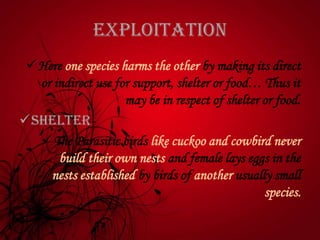 Exploitation
Here one species harms the other by making its direct
or indirect use for support, shelter or food… Thus it
may be in respect of shelter or food.
Shelter-
The Parasitic birds like cuckoo and cowbird never
build their own nests and female lays eggs in the
nests established by birds of another usually small
species.
 
