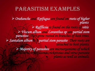 Parasitism Examples
Orabanche and Epifagus are found on roots of higher
plants.
Rafflesia is found on the roots of vitis.
Viscum album and Loranthus sp are partial stem
parasites. They grow rooted in branches of host trees.
Santalum album is a partial stem parasite. Their roots are
attached to host plants.
Majority of parasites are microorganisms of which
fungi,bacteria,mycoplasmas,rickettsias and virus parasite
plants as well as animals.
 