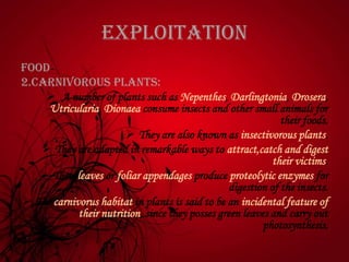 Exploitation
Food-
2.Carnivorous plants:
 A number of plants such as Nepenthes, Darlingtonia, Drosera,
Utricularia, Dionaea consume insects and other small animals for
their foods.
 They are also known as insectivorous plants.
 They are adapted in remarkable ways to attract,catch and digest
their victims.
 Their leaves or foliar appendages produce proteolytic enzymes for
digestion of the insects.
 The carnivorus habitat in plants is said to be an incidental feature of
their nutrition, since they posses green leaves and carry out
photosynthesis.
 