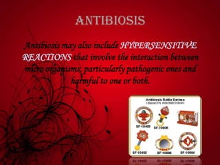 Antibiosis
Antibiosis may also include HYPERSENSITIVE
REACTIONS that involve the interaction between
micro organisms, particularly pathogenic ones and
harmful to one or both.
 