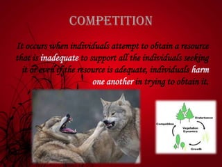 competition
It occurs when individuals attempt to obtain a resource
that is inadequate to support all the individuals seeking
it or even if the resource is adequate, individuals harm
one another in trying to obtain it.
 