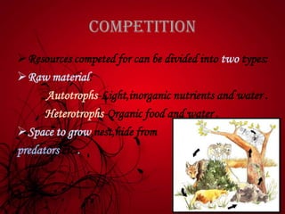 competition
Resources competed for can be divided into two types:
Raw material:
Autotrophs-Light,inorganic nutrients and water .
Heterotrophs-Organic food and water .
Space to grow,nest,hide from
predators etc..
 