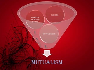Mutualism
Mycorrhizae
Symbiotic
Nitrogen
fixers
Lichens
 